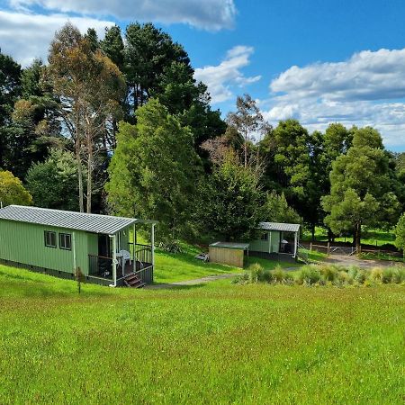 Cozy Otways Accommodation Beech Forest Esterno foto